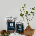 Combo of Talk Dirty To Me & Spoon Feeding