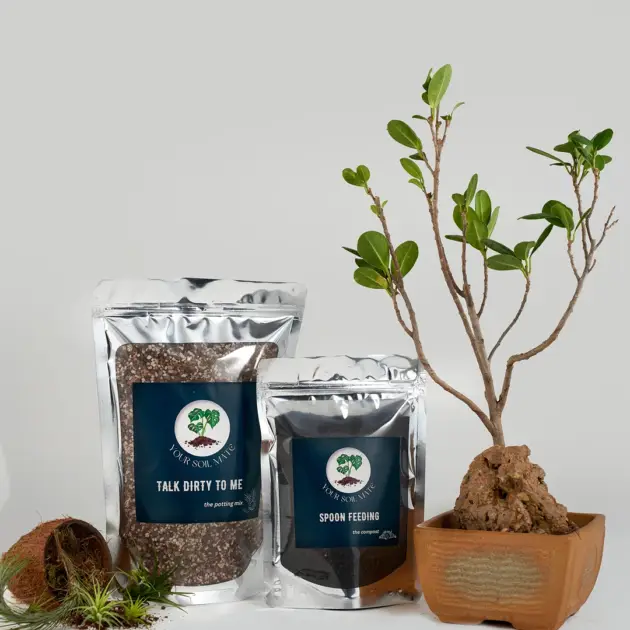 Combo of Talk Dirty To Me & Spoon Feeding